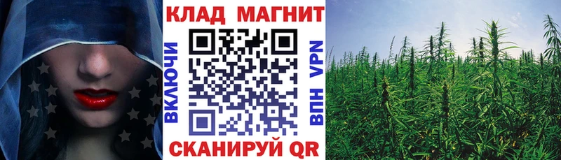 Магазины продажи наркотиков Устюжна Гашиш Канабис МЕТАДОН Меф Амфетамин