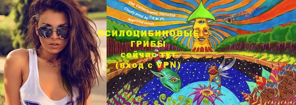бошки Алексин