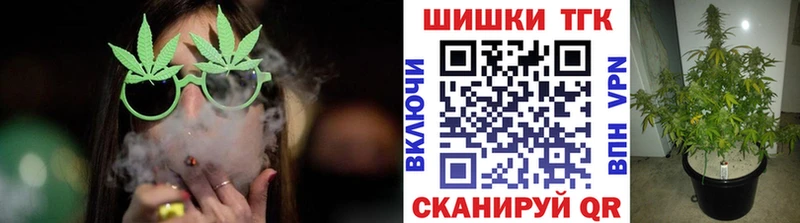 где купить наркоту  Устюжна  MEGA вход  Конопля MAZAR 